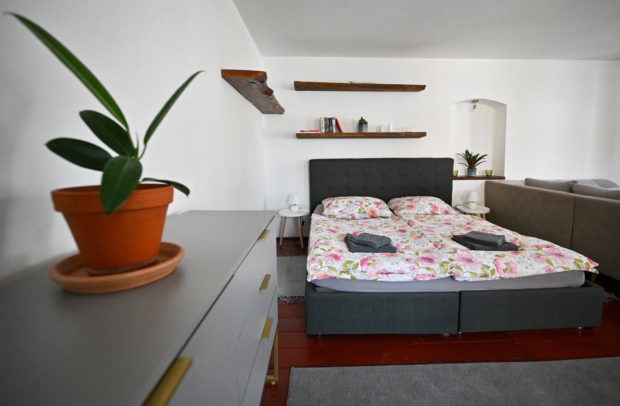 Apartman U Spinaru Třešť 外观 照片